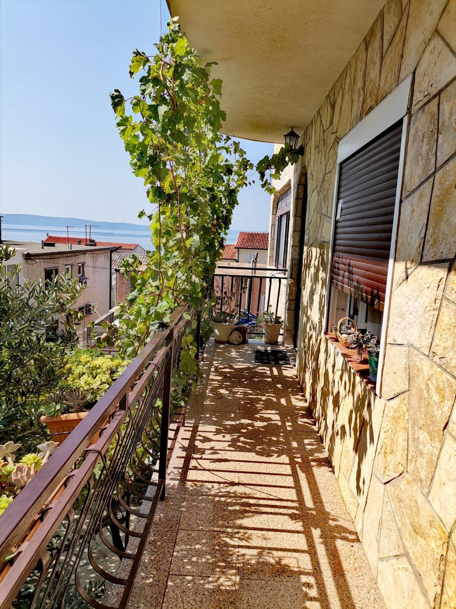 Villa Mia Makarska Exterior foto